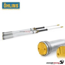 Ohlins TTX22 Pressurized