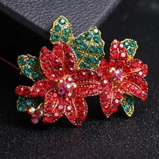 Stelle di Natale Natale