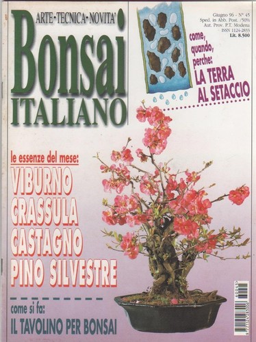 Bonsai italiano 45 - italiano.,