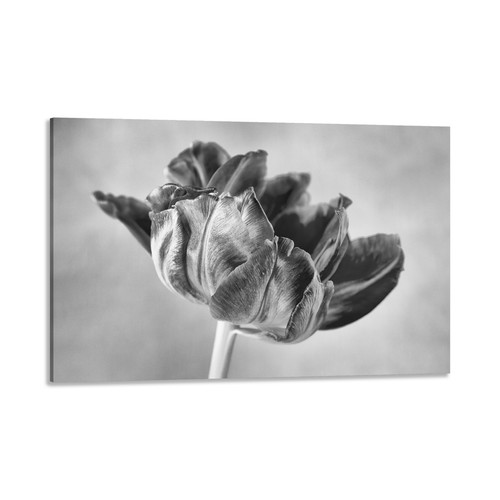 Quadro stampa tela con - quadro, su