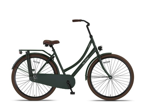 Bicicletta olandese bicicletta