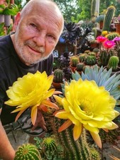 Echinopsis-TRICO CEREUS