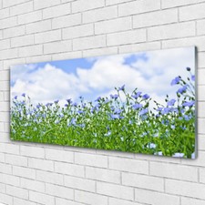 Glass print Wall art 125x50