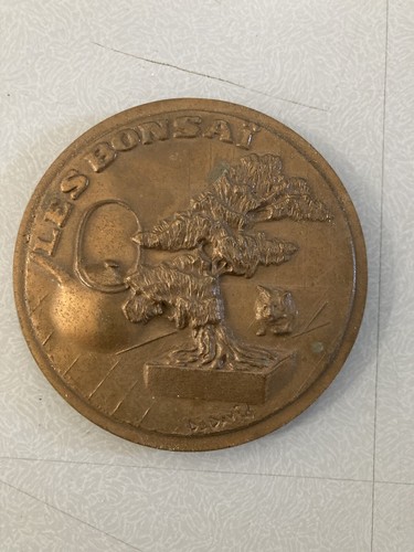 Bellissima medaglia bronzo - bellissima,