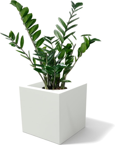 Vaso moderno cubo fioriera - vaso,