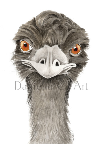 Watercolour emu print - watercolour,