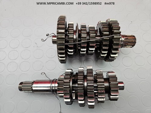 Cambio alberi 800079689 - alberi,