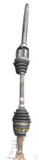 51947833 semialbero ant - semialbero,
