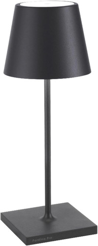 Zafferano poldina pro mini - pro,