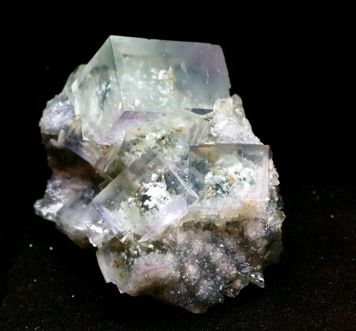 Fantasma verde naturale
