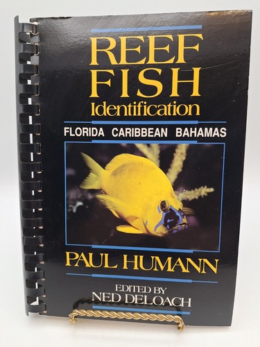 Reef fish identification - reef,