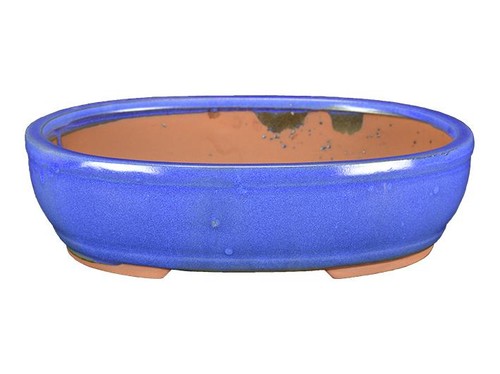 Vaso per bonsai - , ovale