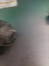 A1602300111 compressore aria condizionata A/C clima Smart W451 Fortwo benzina 20