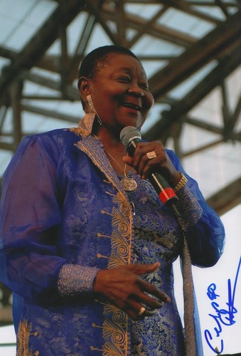 Calypso rose firmato - rose,