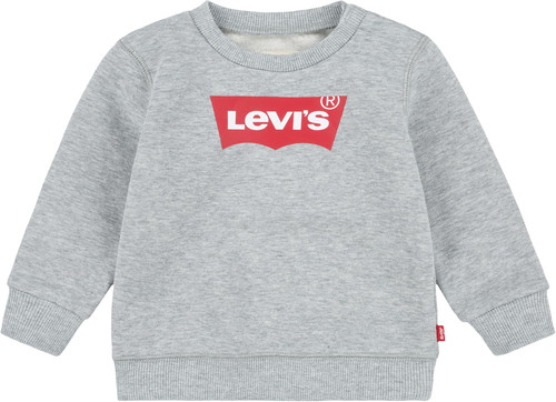 Batwing crewneck sweatshirt - batwing,
