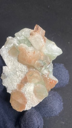 Superba stilbite rossa - rossa, e