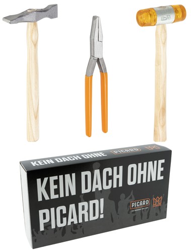 Picard corona tetto - corona,