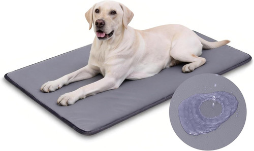 Cuccia cane taglia - xl, grande