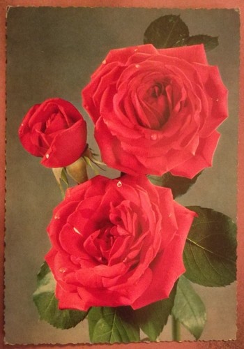Cartolina tematica fiori - tematica,