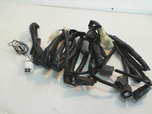 Cablaggio rapidbike kawasaki - cablaggio,