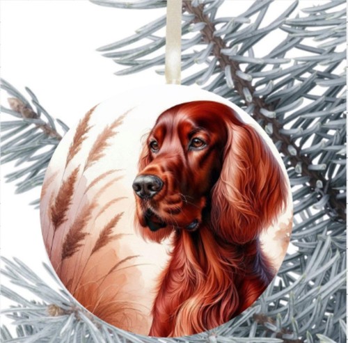 Setter rosso decorazione - rosso,