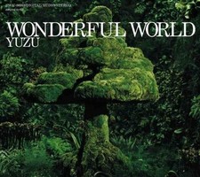 Wonderful World