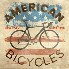 Quadro Bici Americana Usa