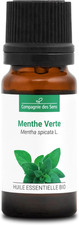 MENTA VERDE (Mentha Spicata)