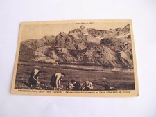 Cuneo - Pontechianale la raccolta dei piumini al Lago Bleu - sp f p franc asp