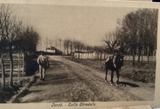 TARCH SULLO STRADALE, ANDRA