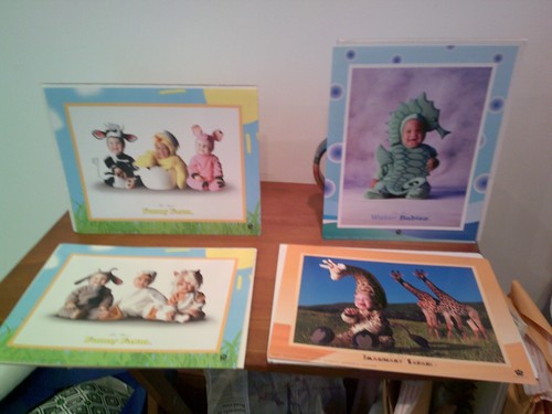 Tom arma animal farm - animal,