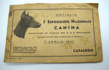 Esposizione nazionale canina razze cani 1947 cinofilo raro Ostiglia Mantova