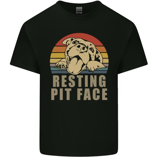 Resting pit bull viso - pit,