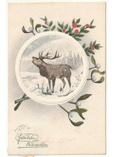 1912 neve cervo agrifoglio vischio antica cartolina Natale Weihnachten
