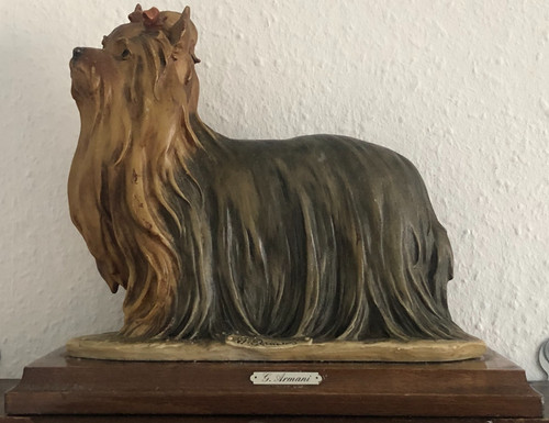 Giuseppe armani yorkshire - giuseppe,