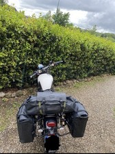 triumph street scrambler 900