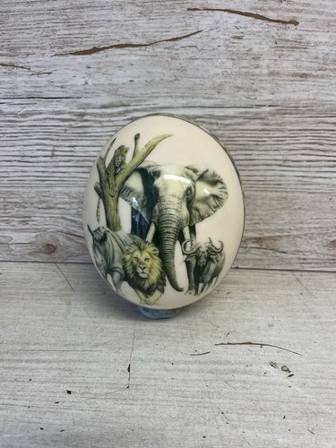 Decorative ostrich egg - ostrich,