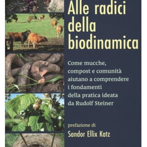 Libro alle radici - libro,