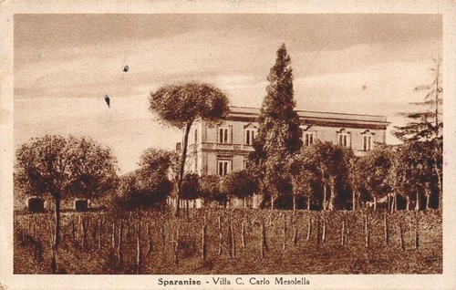 Ec295 cartolina sparanise - cartolina,