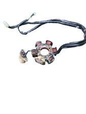 Magnete Statore  Posteriore Piaggio Zip  50   Anno 1993/1998 Vedi foto