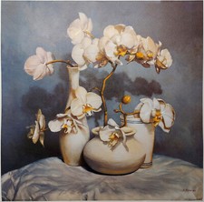 Orchidee Bianche Colore Acqua