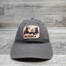 Alaska Bear Outdoor Hunting