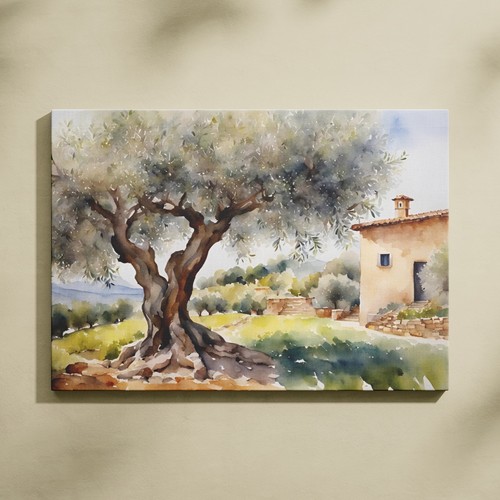 Tela ulivo italia casale - ulivo,