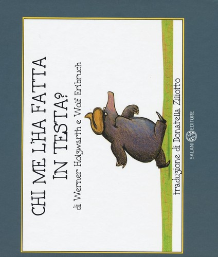 Ebond chi fatta in - ebond,