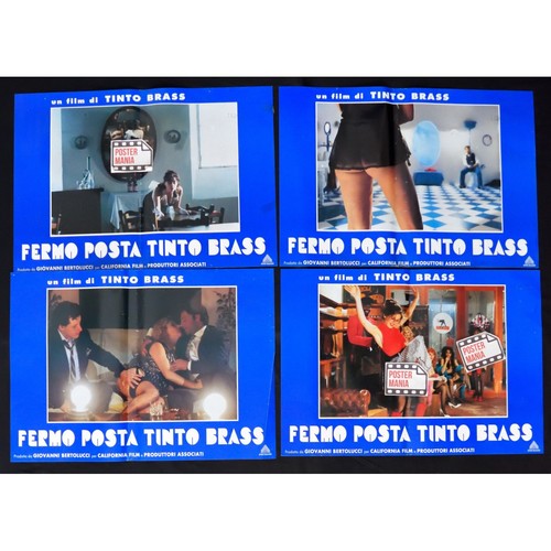 Fotobuste fermo posta tinto - fermo,