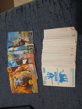 AMICI CUCCIOLOTTI 2025 -