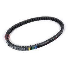 CINGHIA DI TRASMISSIONE