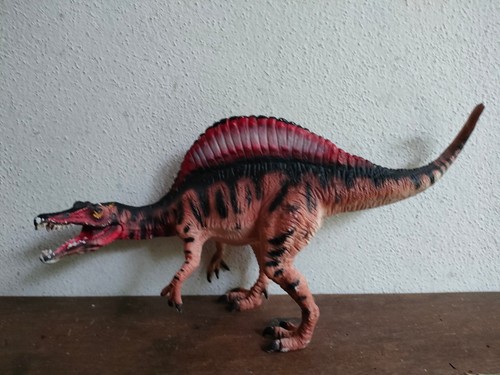 Spinosaurus dinosauro - spinosaurus,