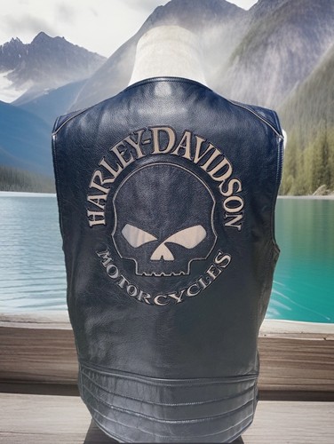 Harley davidson giubbotto - harley-davidson, uomo
