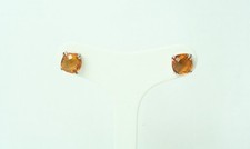 Puntoluce Women's Quartz
